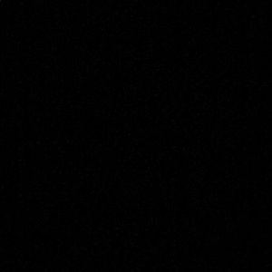 Meet your Posher, Elysha